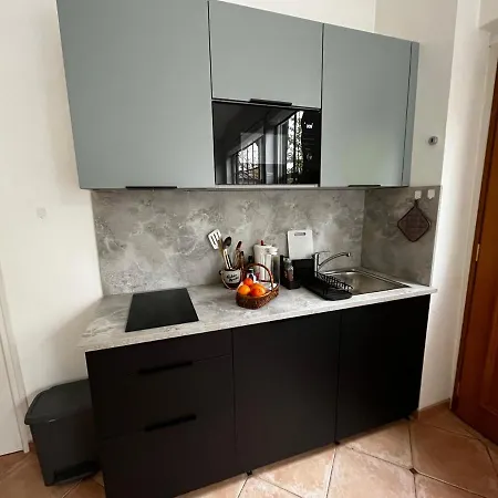 Charming Independent Guest House - Spacious Studio With Terrace And Garden, 25 Minutes From Paris Saint-Maur-des-Fossés Exterior photo